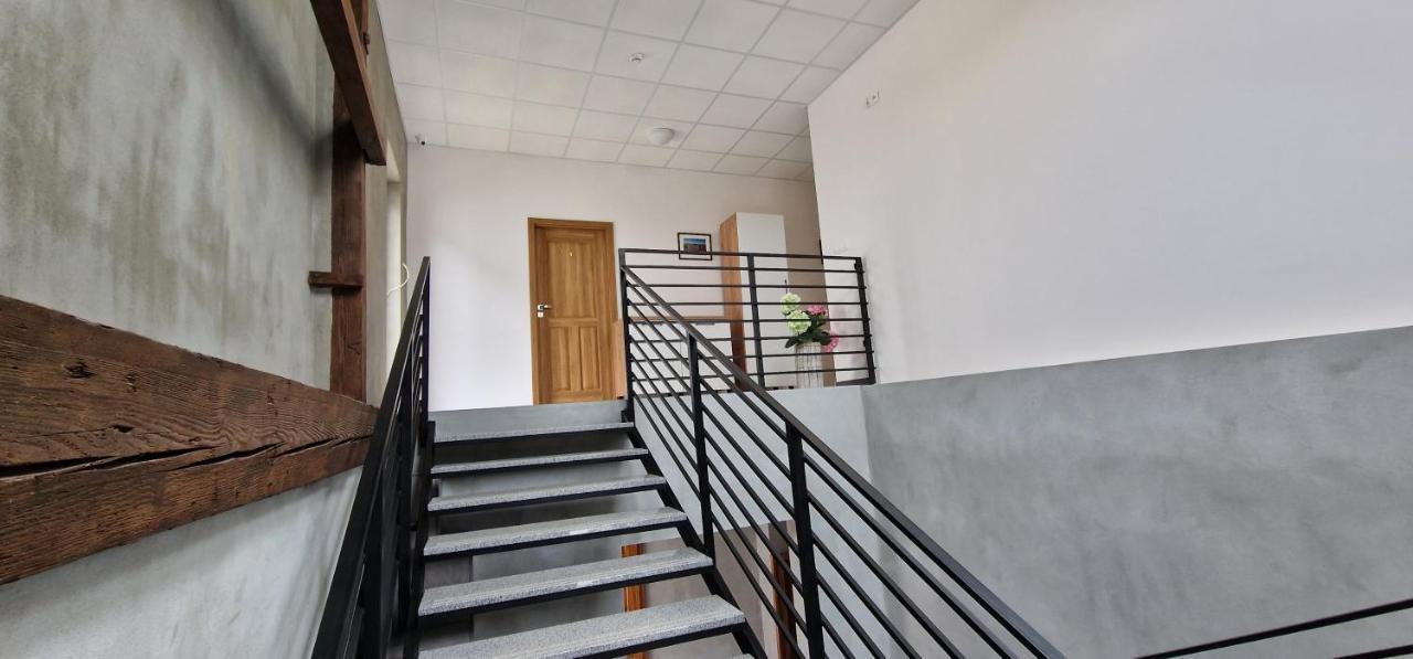 Zielona Ostoja Ulica Szpitalna 3C Kamieniec Ząbkowicki Exterior foto
